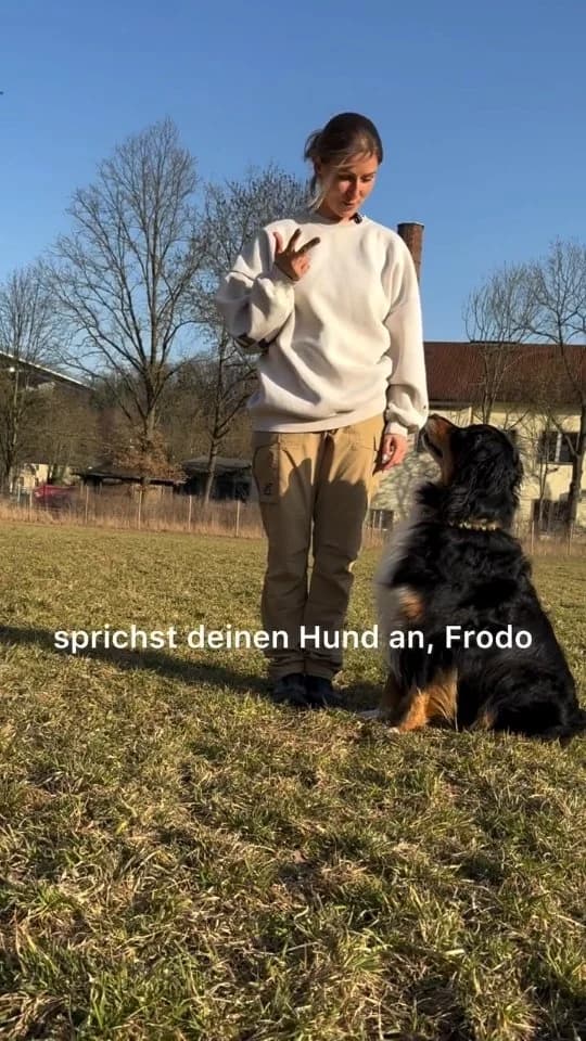Einzelstunde Normal