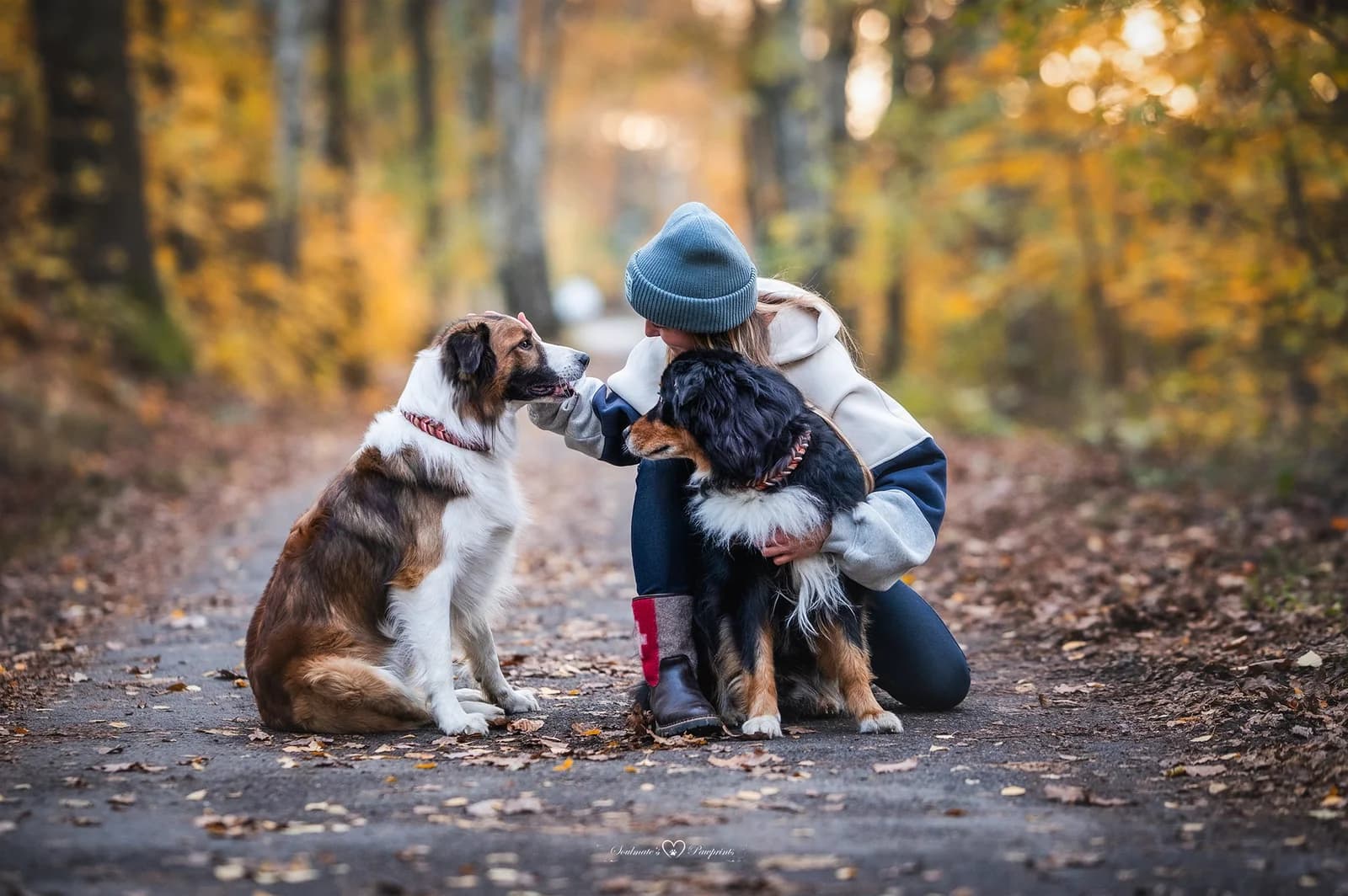 Nancy mit ihren Hunden